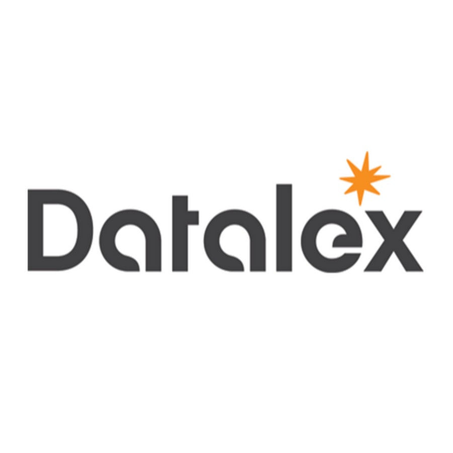 Datalex - Support Analyst - 03/2001-05/2002 - Tamarind Randall : An Alternative CV